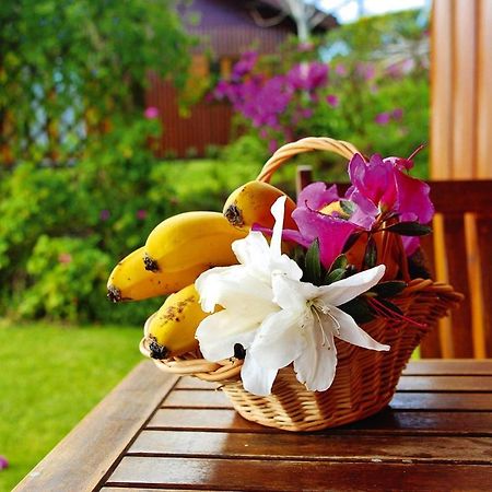 Holiday Homes Quinta Dos Curubas, Vila Franca Do Campo, Sao Miguel, Azores المظهر الخارجي الصورة