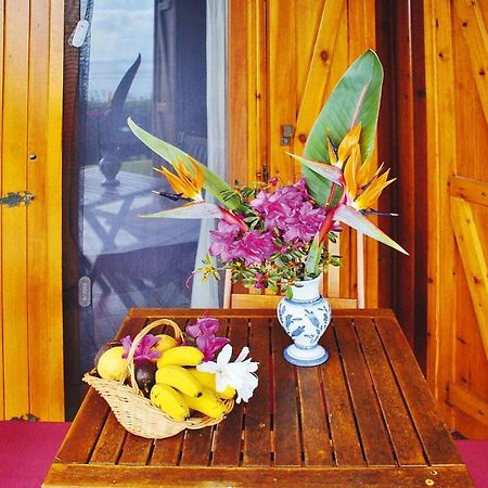Holiday Homes Quinta Dos Curubas, Vila Franca Do Campo, Sao Miguel, Azores المظهر الخارجي الصورة