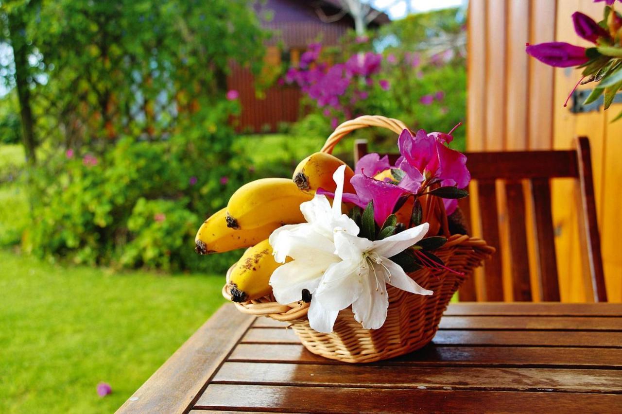 Holiday Homes Quinta Dos Curubas, Vila Franca Do Campo, Sao Miguel, Azores المظهر الخارجي الصورة