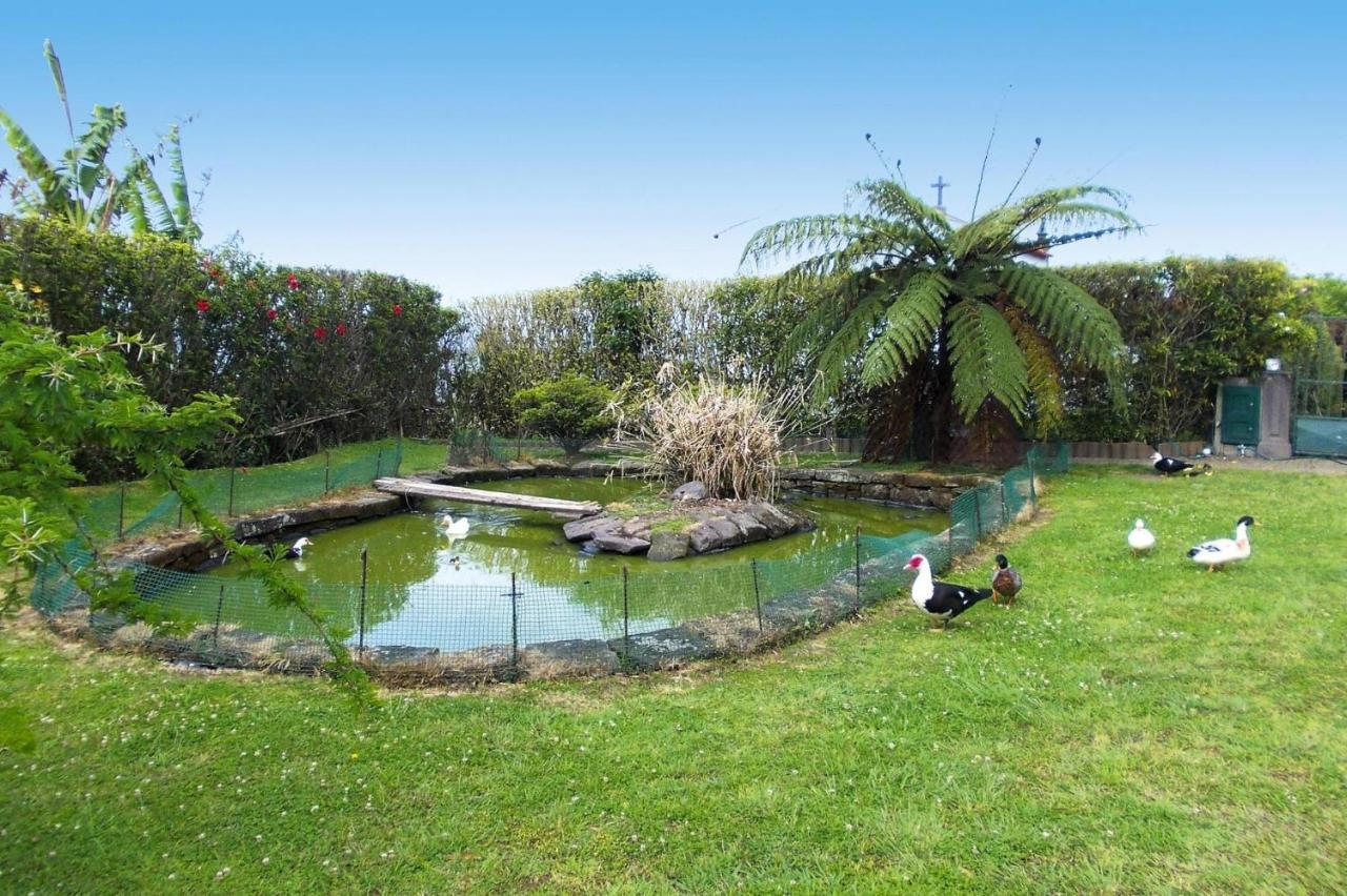 Holiday Homes Quinta Dos Curubas, Vila Franca Do Campo, Sao Miguel, Azores المظهر الخارجي الصورة