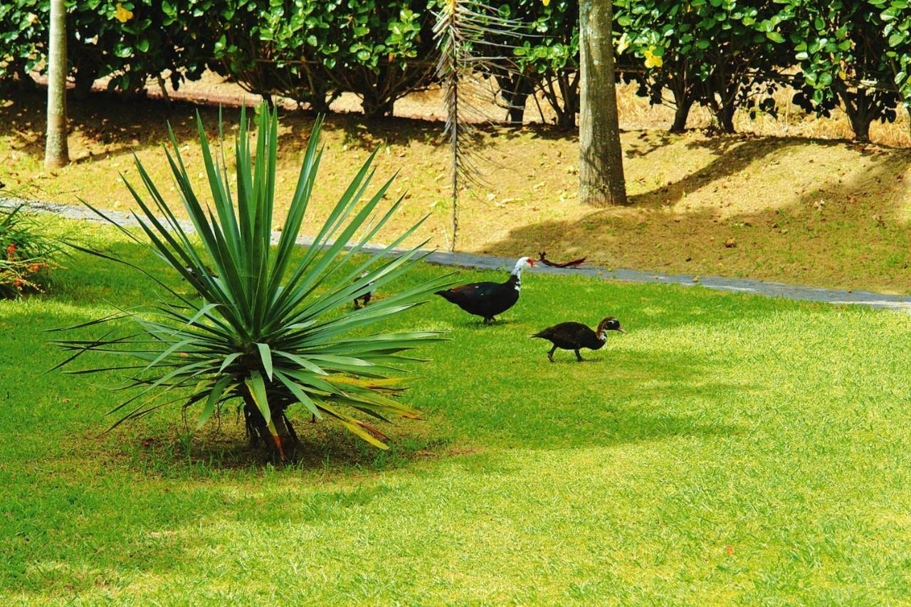 Holiday Homes Quinta Dos Curubas, Vila Franca Do Campo, Sao Miguel, Azores المظهر الخارجي الصورة