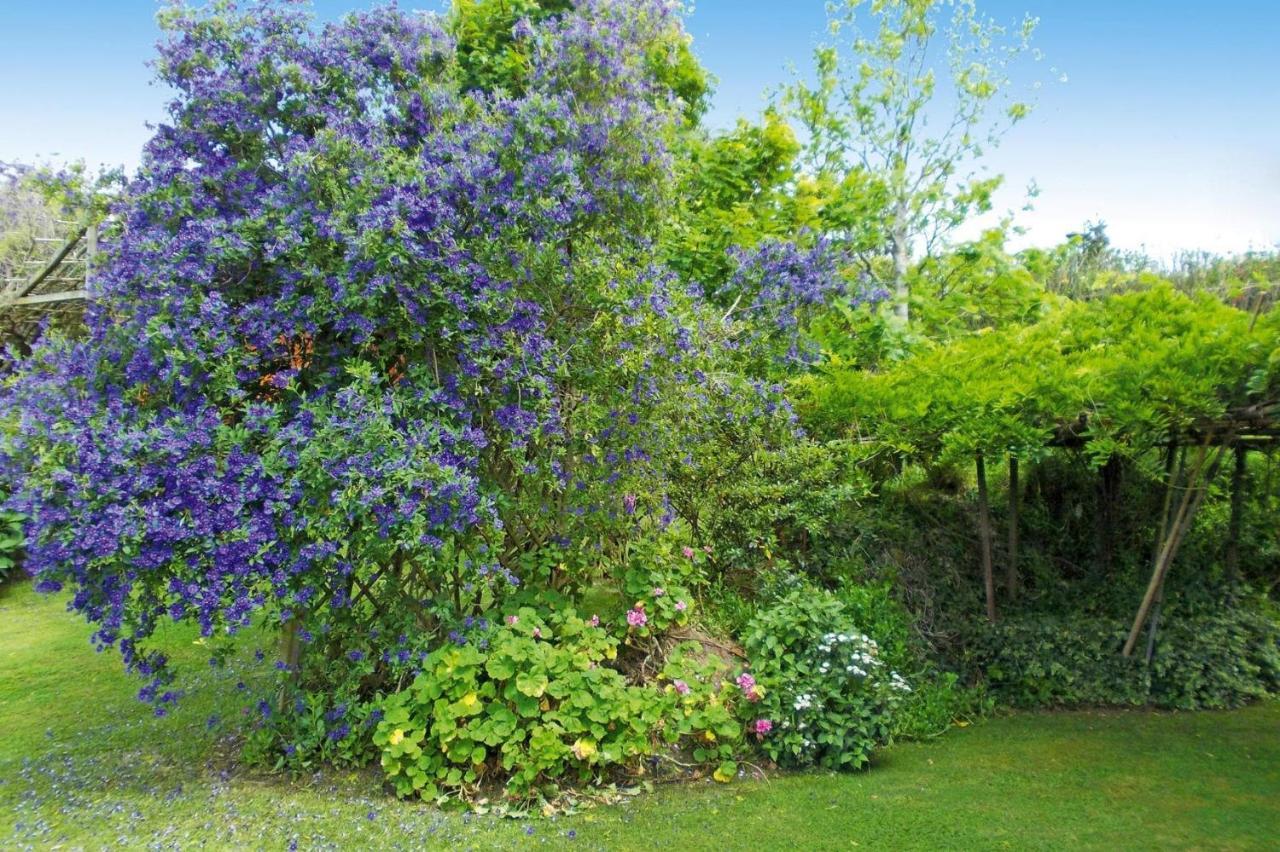 Holiday Homes Quinta Dos Curubas, Vila Franca Do Campo, Sao Miguel, Azores المظهر الخارجي الصورة