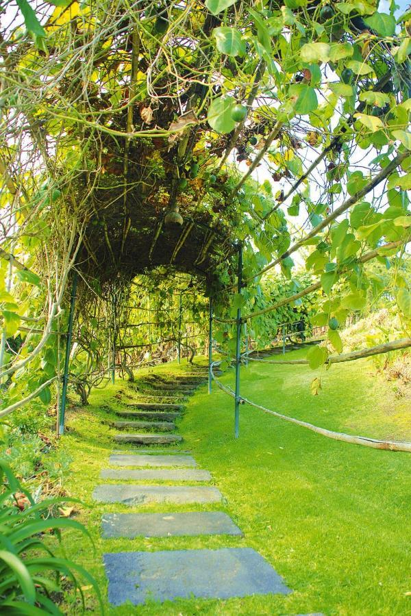 Holiday Homes Quinta Dos Curubas, Vila Franca Do Campo, Sao Miguel, Azores المظهر الخارجي الصورة